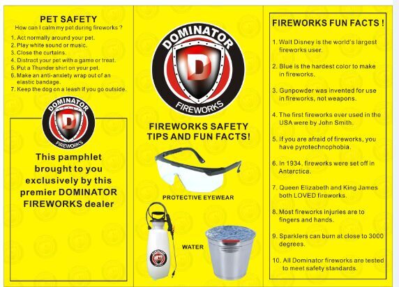 Fireworks Tri-Fold Safety Brochure